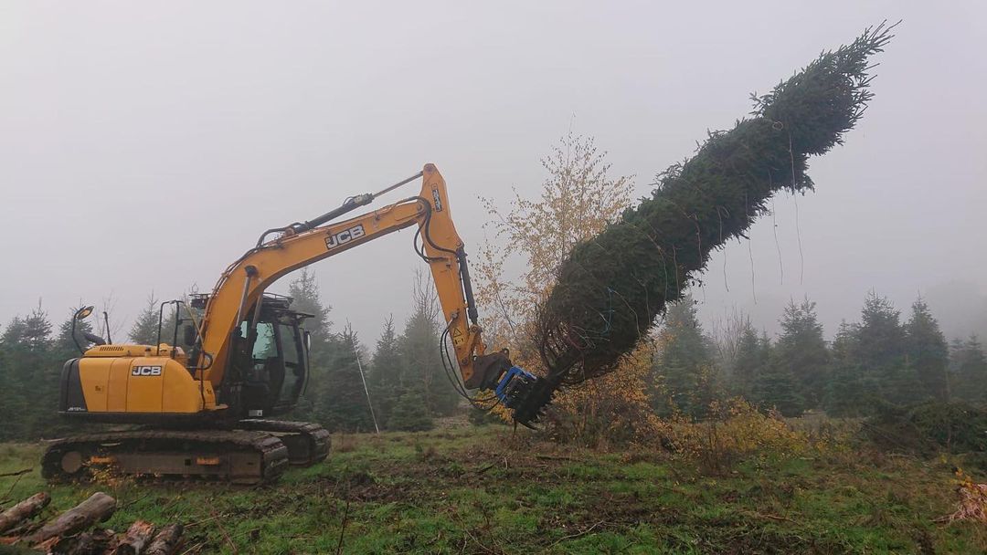 BC570 Excavator Forestry Grab - 12-16 Tonne