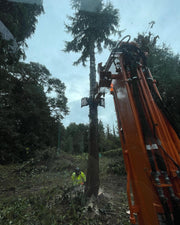 SGR-4HD Hydraulic Rotating Excavator Selector Sorting Grab - 5-8 Tonne
