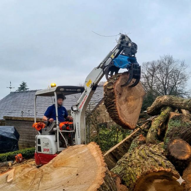 BC120 Excavator Forestry Grab - 2-3 Tonne